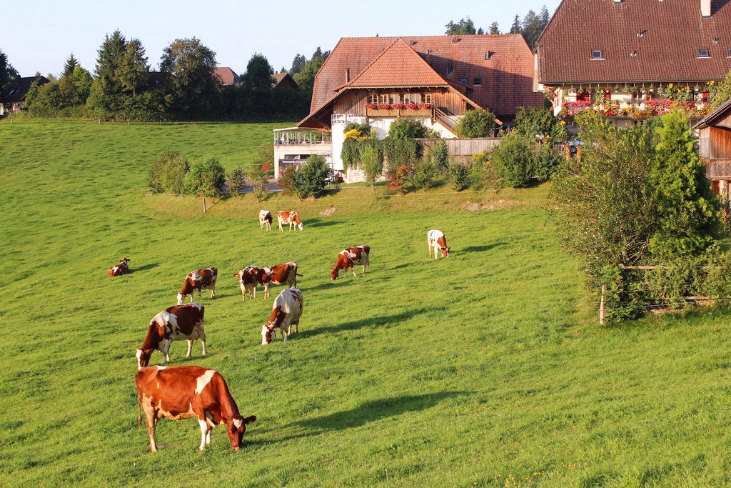European Organic Farms | Organic Formula Hub