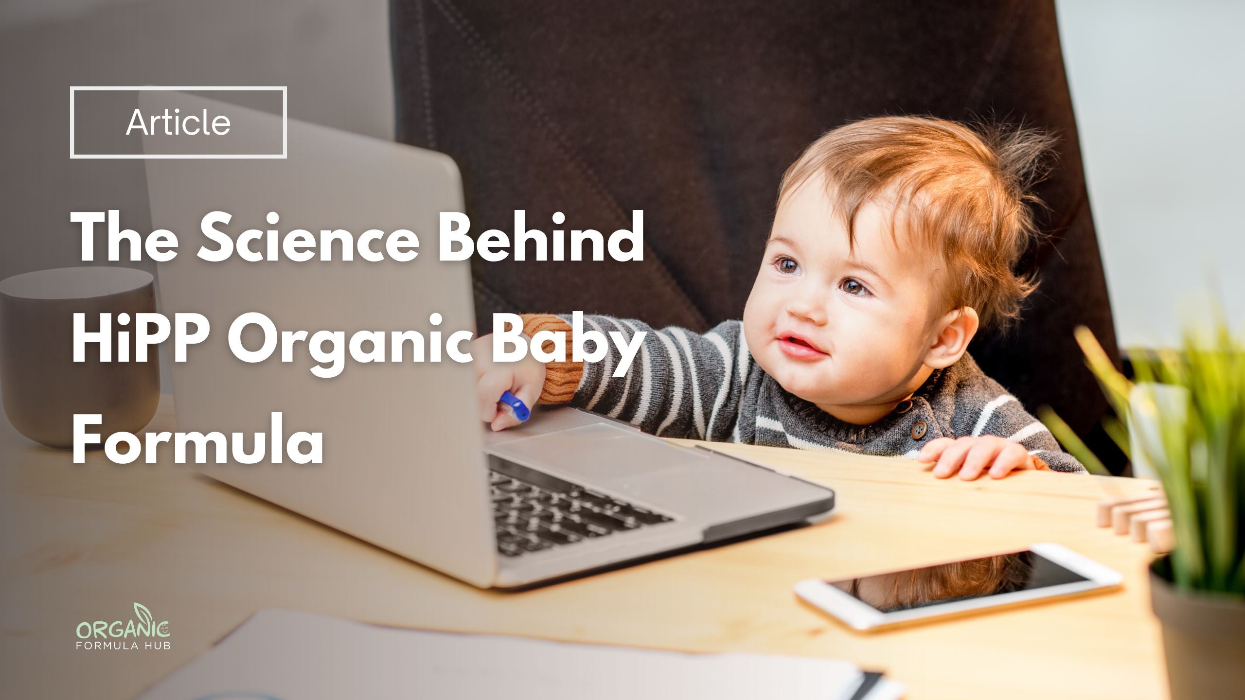 HiPP Organic Formula Explained: Science, Stages & Ingredients – Organic ...