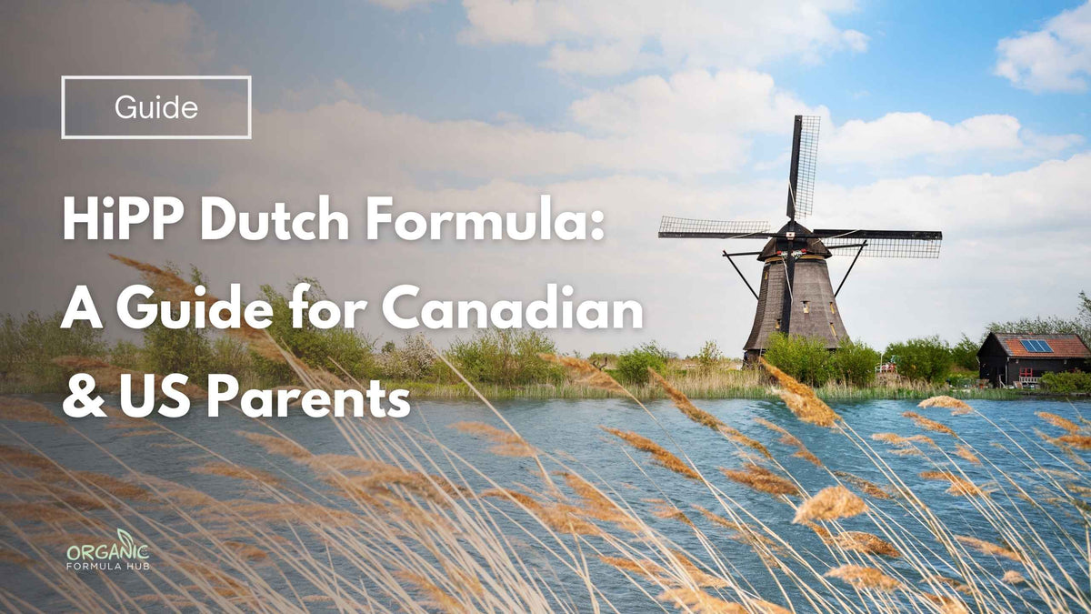 HiPP Dutch Formula: A Complete Guide for Canadian & US Parents