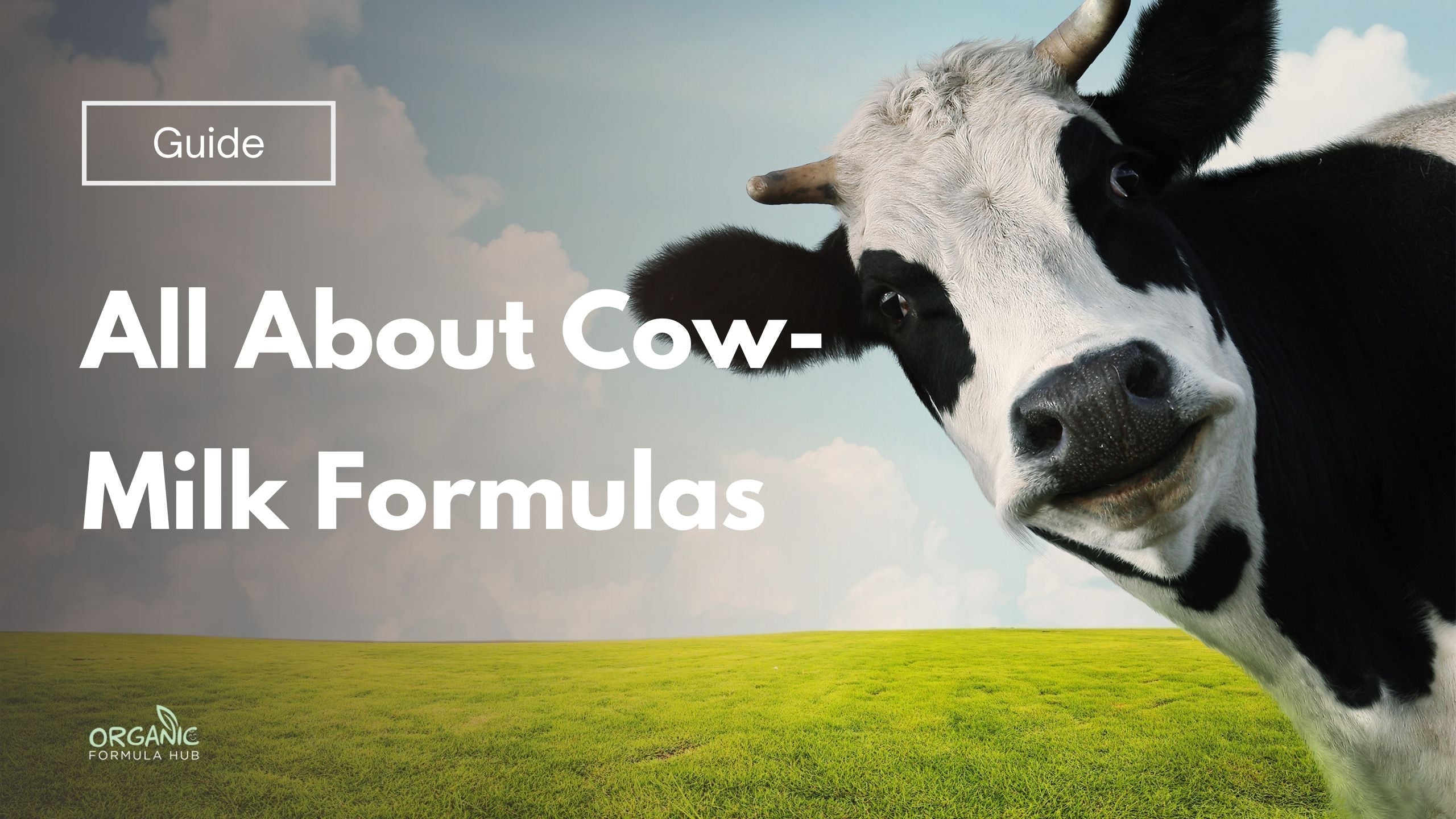 All About Cow-Milk Formulas: HiPP, Holle & More