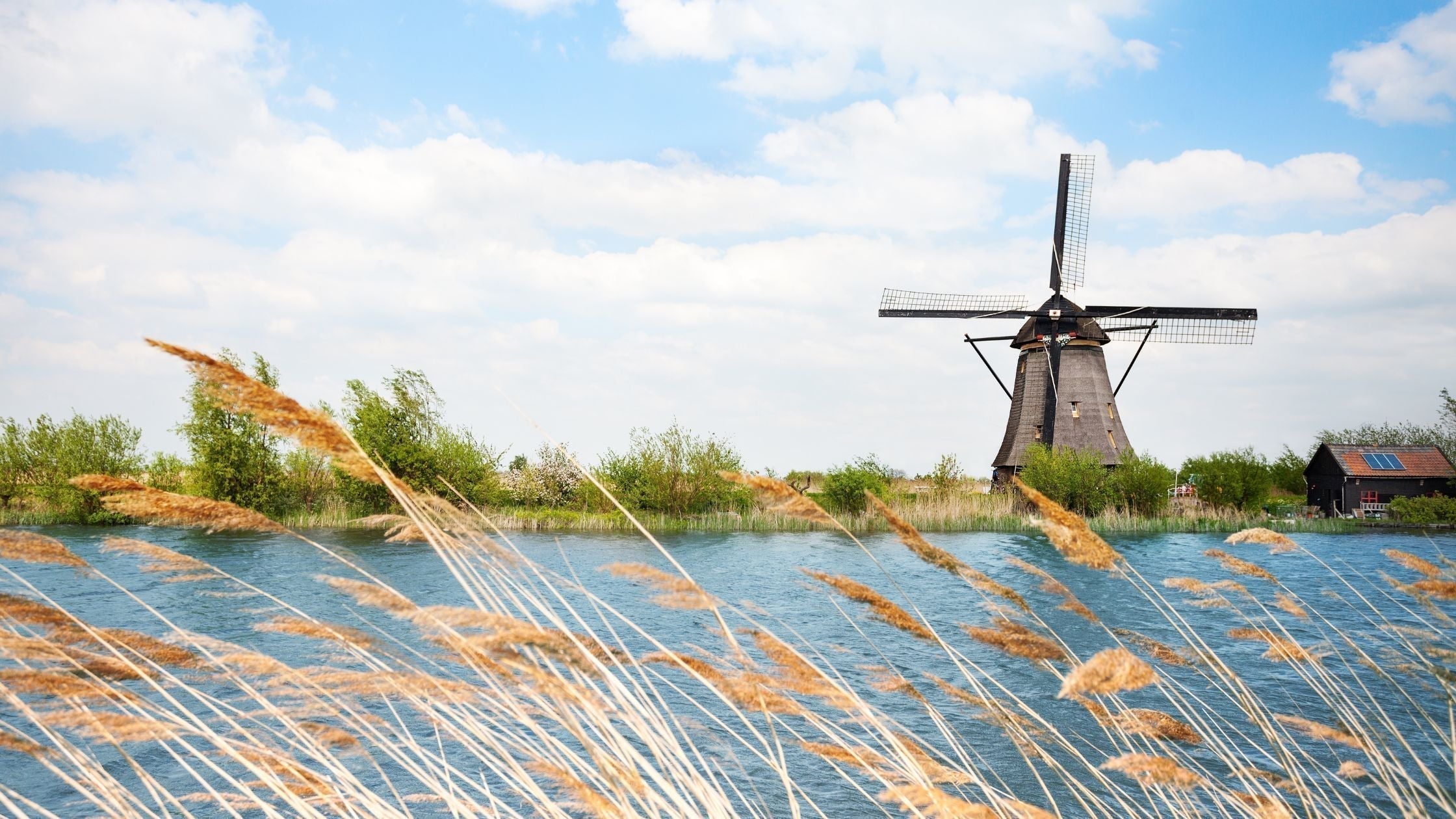 HiPP Dutch Formula: A Complete Guide for Canadian & US Parents