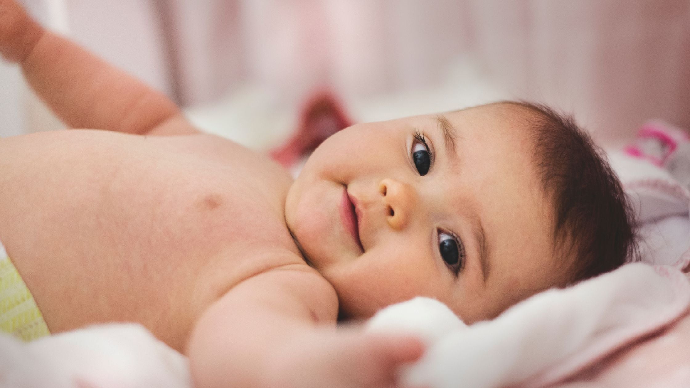 HiPP Formula Face-Off: German vs Dutch vs UK